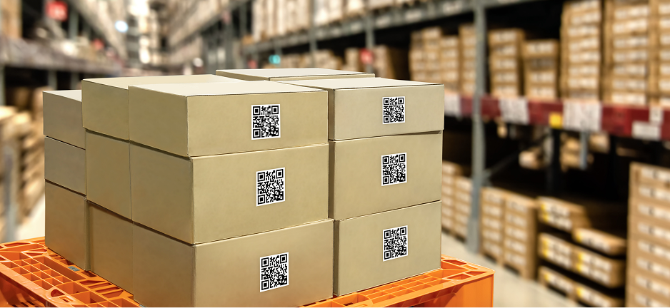 Supply Chain & Logistic