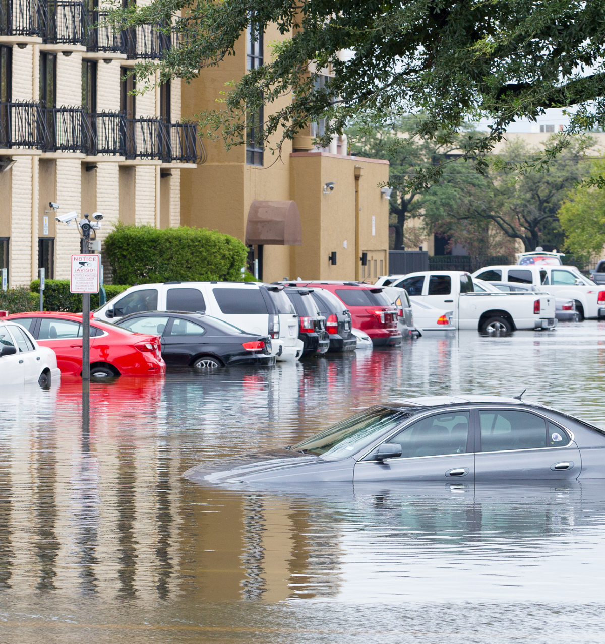 Learn more about how AccuWeather can help your retail business make the best weather-impacted decisions